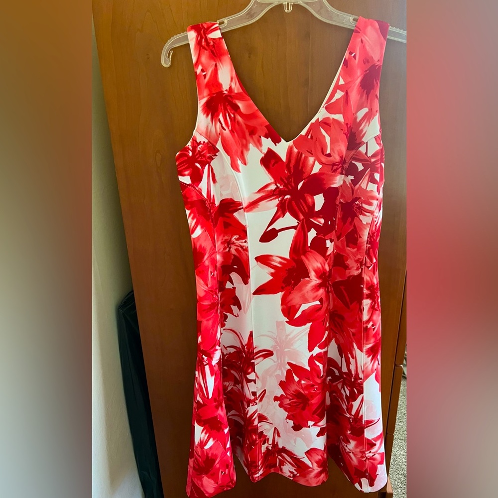 Fun spring A-line dress.  Only worn 2x.